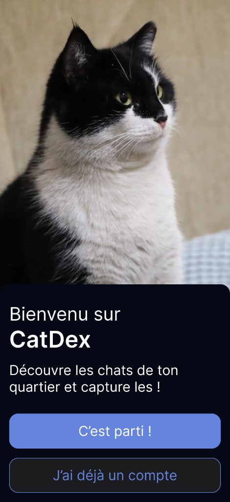 Chat blanc dans le CatDex